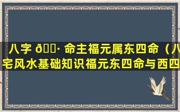 八字 🌷 命主福元属东四命（八宅风水基础知识福元东四命与西四命）